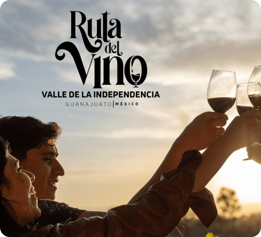 ruta_del_vino